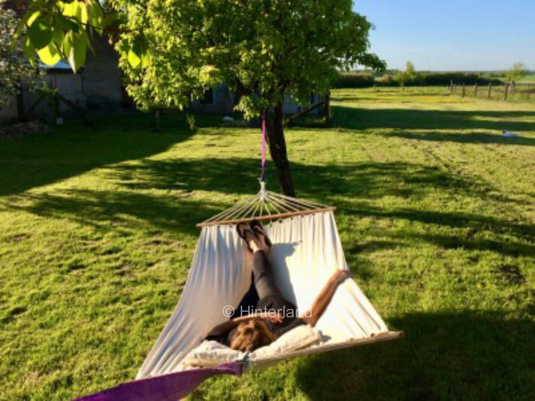 Green oasis of peace with old fruit trees and far view