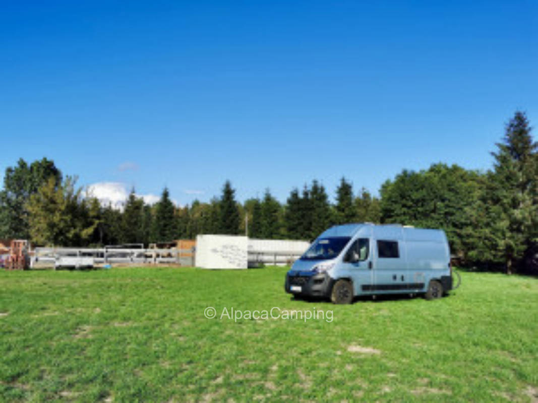 Auf der gepflegten Alpaka Ranch mit einem Erlebnishof #2