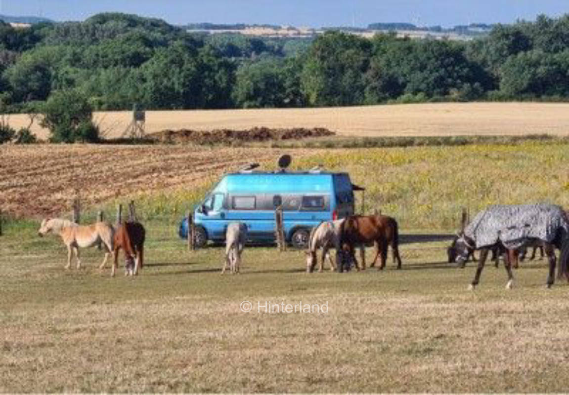 Absolute Ruhe und Wildbeobachtung an der Ponywiese