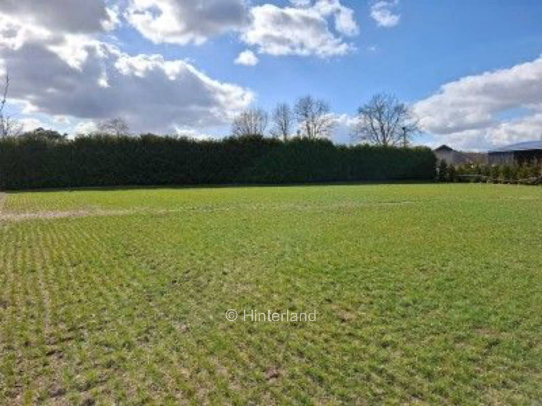 Naturcamping in Woltringhausen: Ruhe & Abenteuer