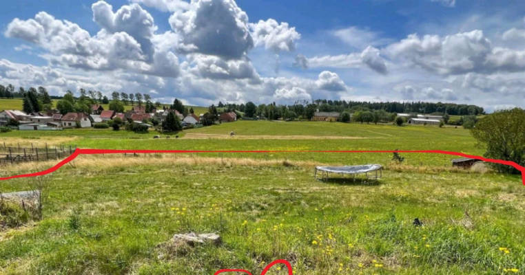 Postcard view on the meadow