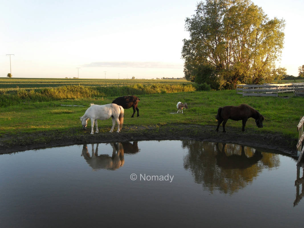 Camping auf der Horse Lake Ranch