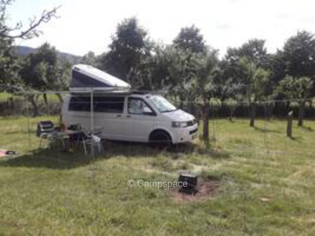 Alpakahof am Apfelwald nahe Dresden