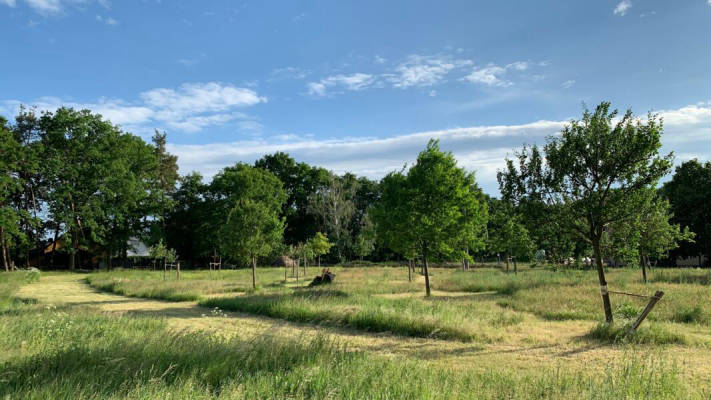 Auszeit auf der Streuobstwiese am Rande des Spreewald (Campspace 5204)