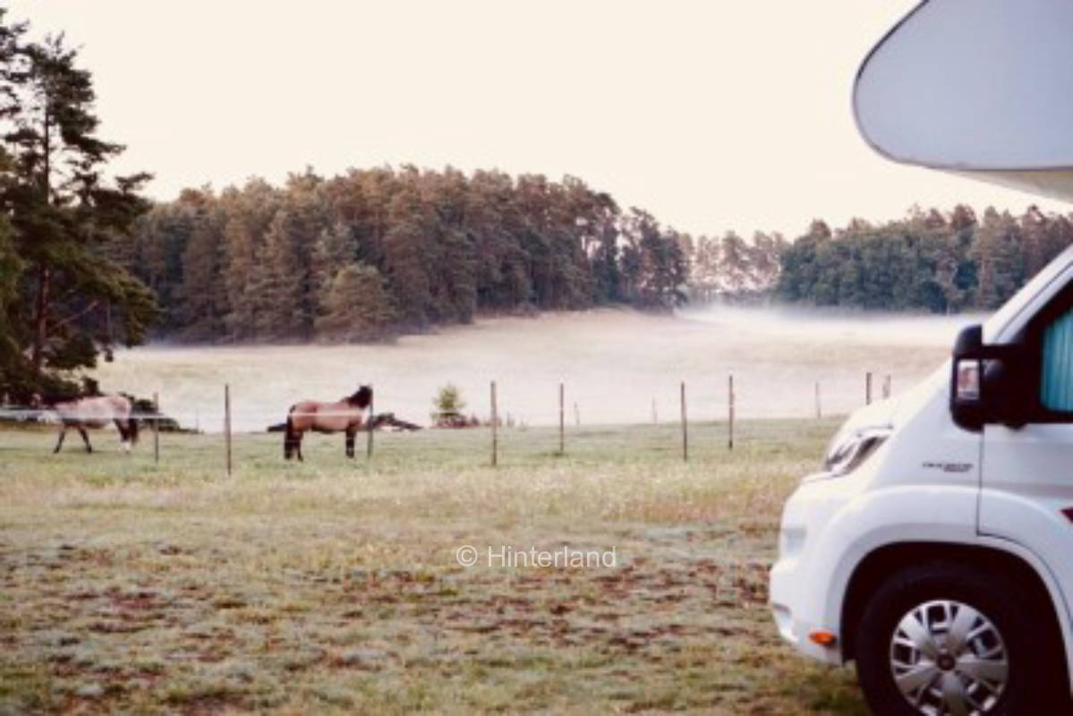 Pure nature surrounded by forests and meadows