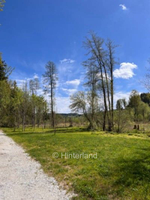 Camping direkt am Bach in idyllischer Alleinlage