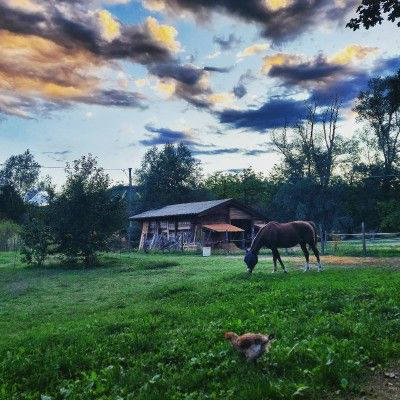 An oasis in Monferrato, among horses and hills