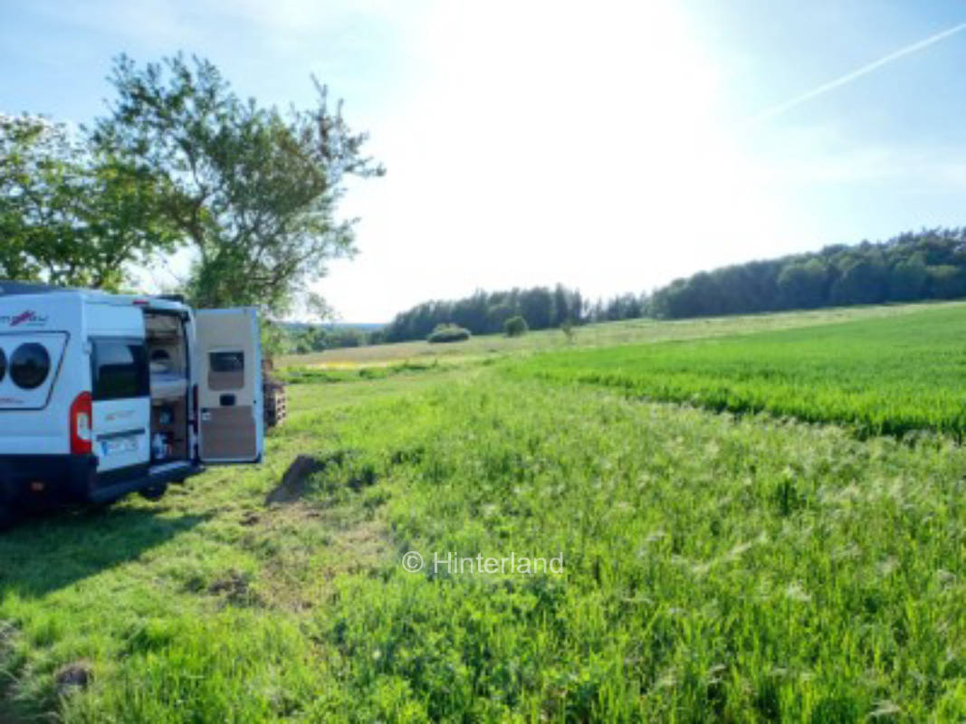 Meadow pitch surrounded by woods and fields