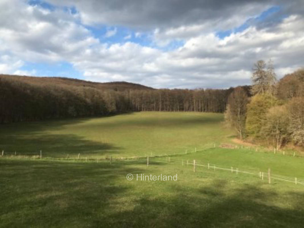 Vacation on the edge of the forest in the Harz National Park