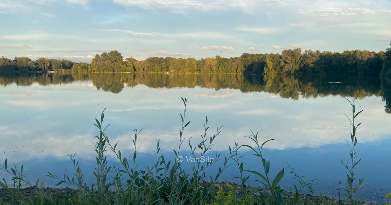 Grüne Wiese am See III