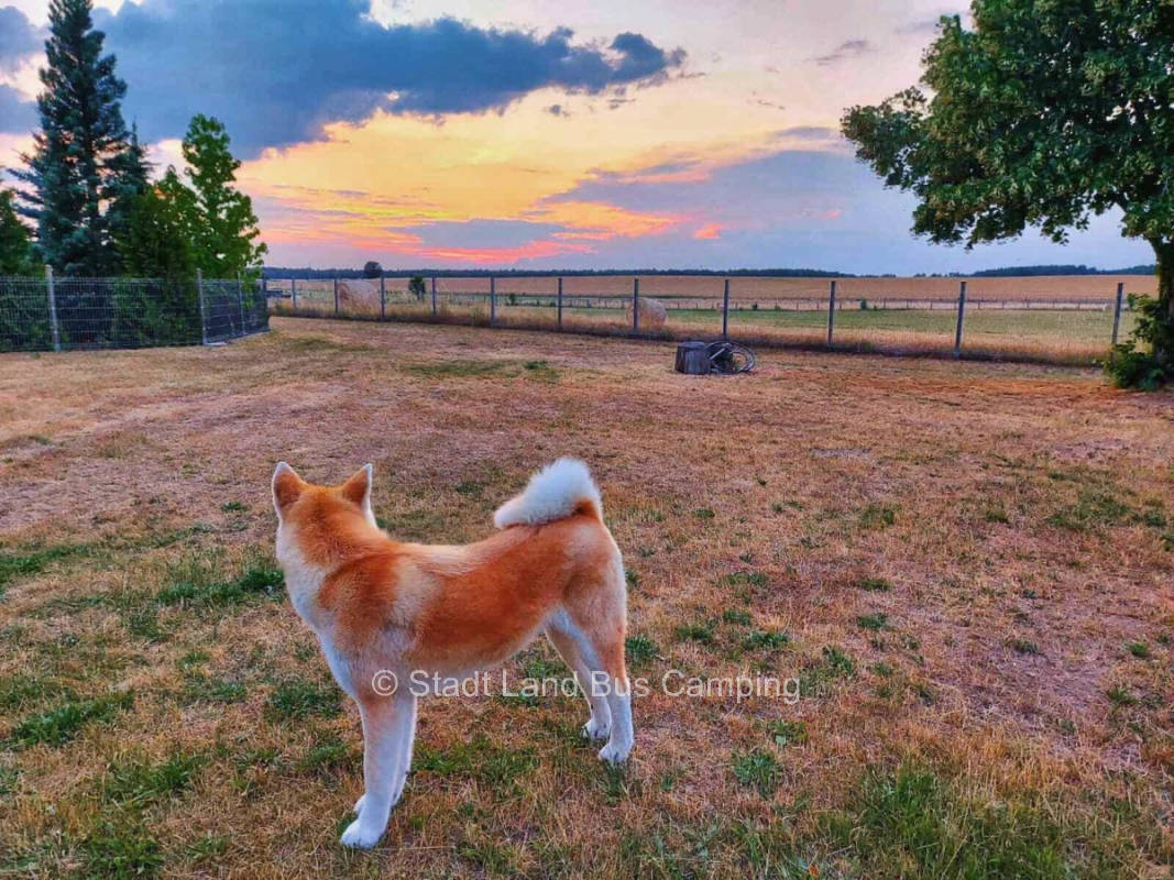 View to the crescent moon - feldmäuschen