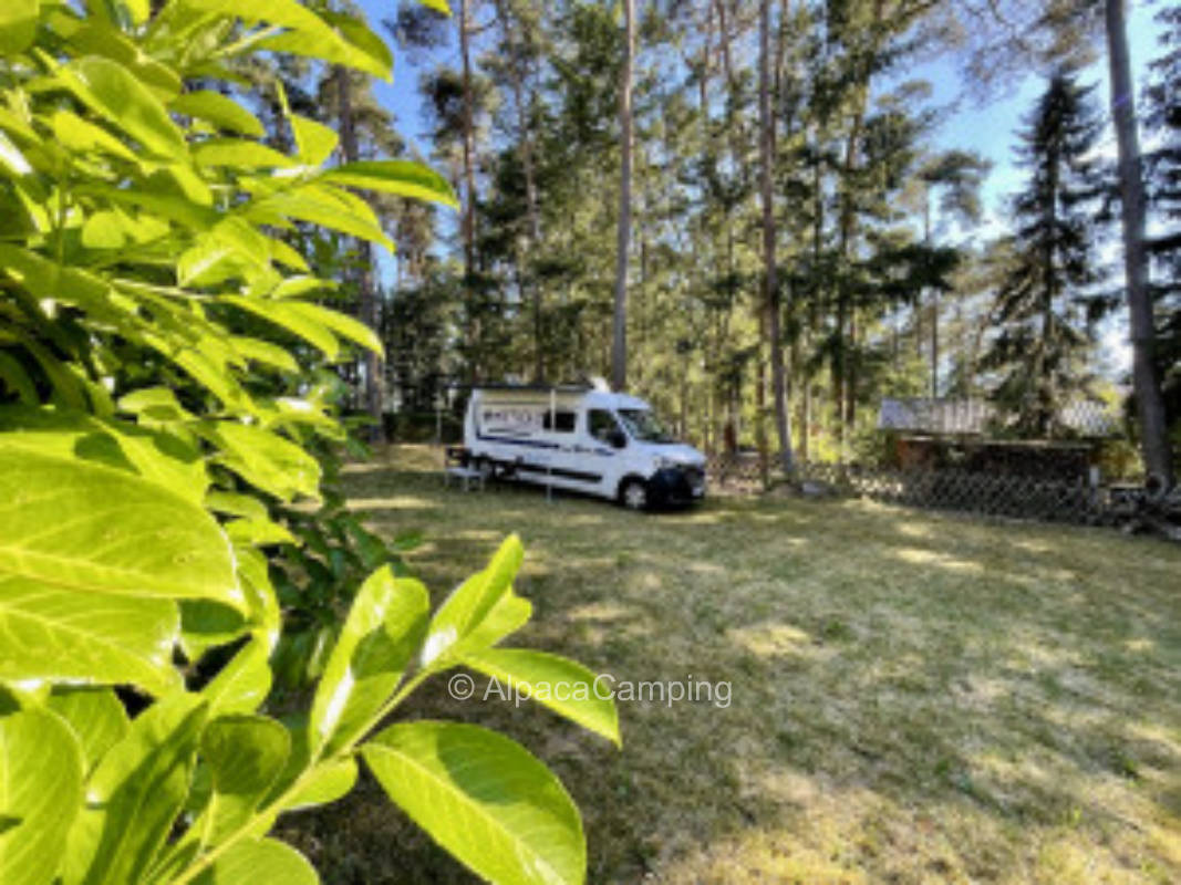 Directly at the lake in Pinnow near Schwerin #1