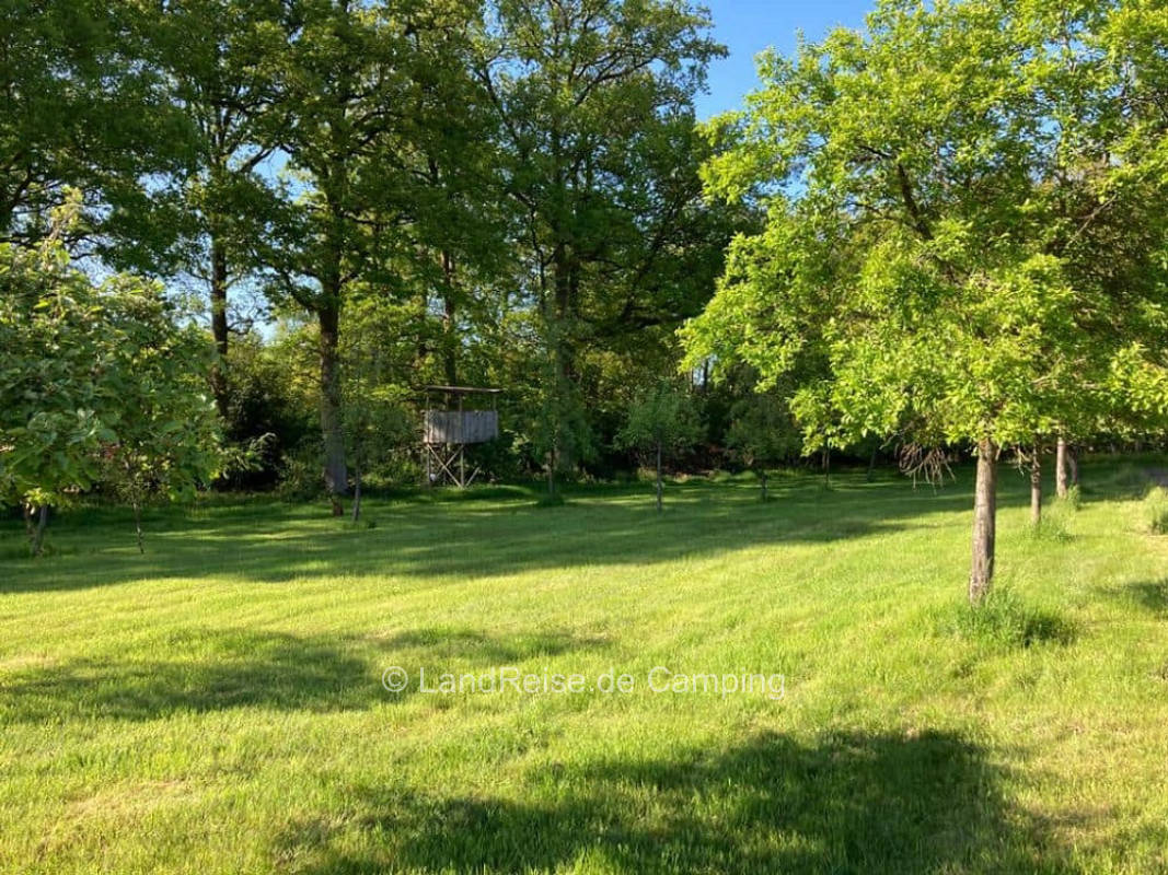 Farm fruit meadow