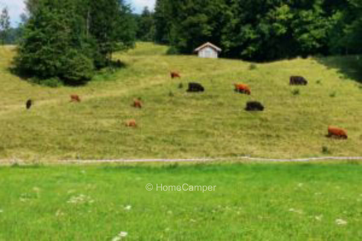 Privater Platz in Lenggries