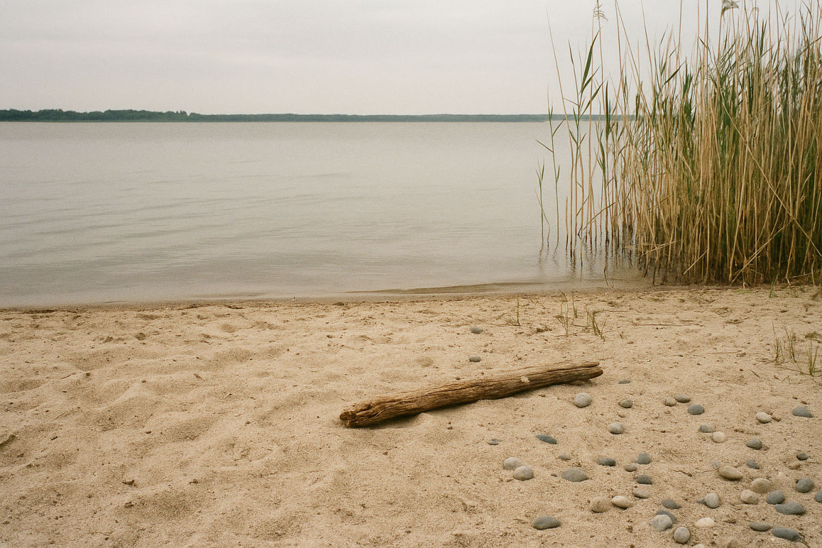 Der Senftenberger See – KI-generiertes Symbolbild
