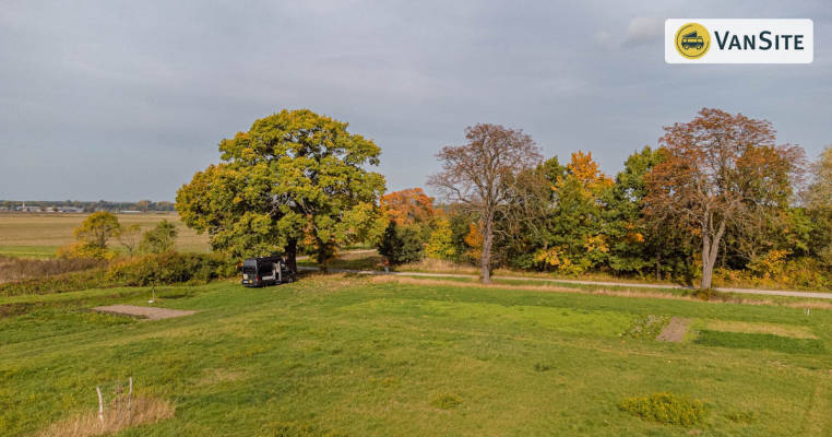 Under the Oak