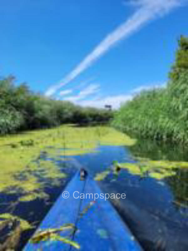 Undisturbed on the interference channel