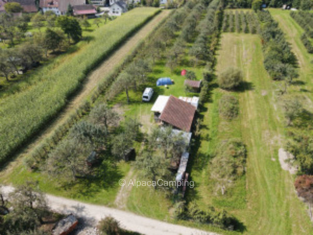 Organic orchard in Argen Valley #2