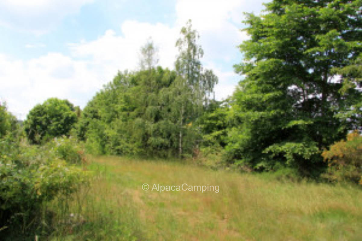 Stellplatz im Lausitzer Seenland #1