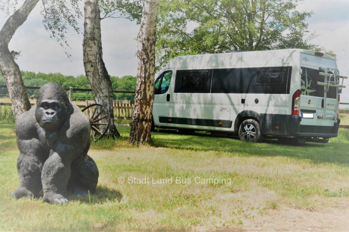 Hof Islandfeuer Drei