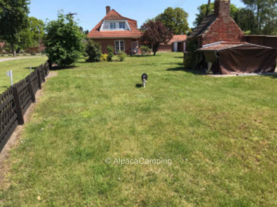 Meadow pitch Near the Elde #3