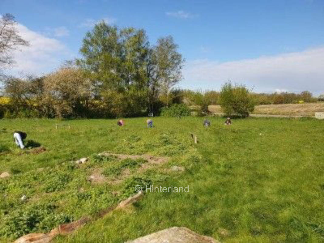 Stellplatz am Wildkräutergarten