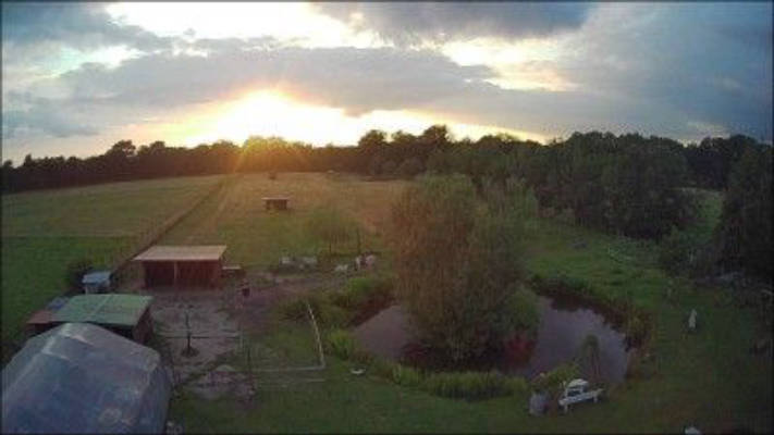 Natur-Hof bei Holm: Land-Camping mit Tieren
