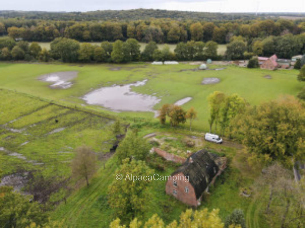 Pitch at a cow pasture #1