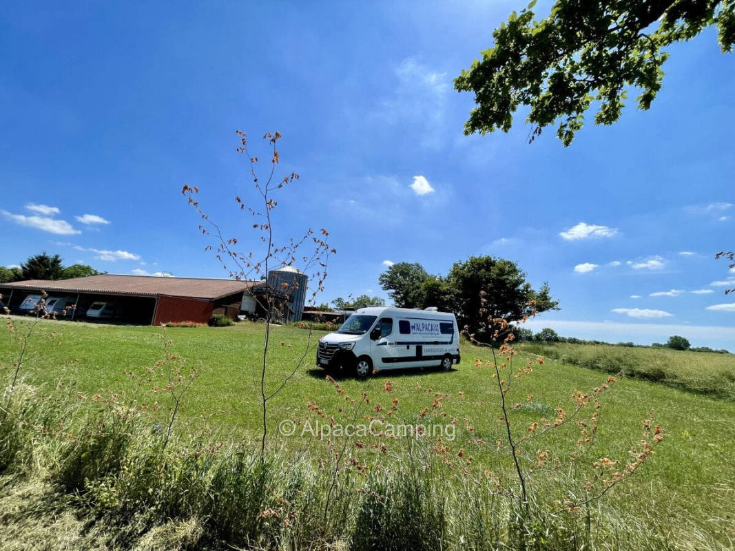 Meadow pitch with a view of nature and the setting sun