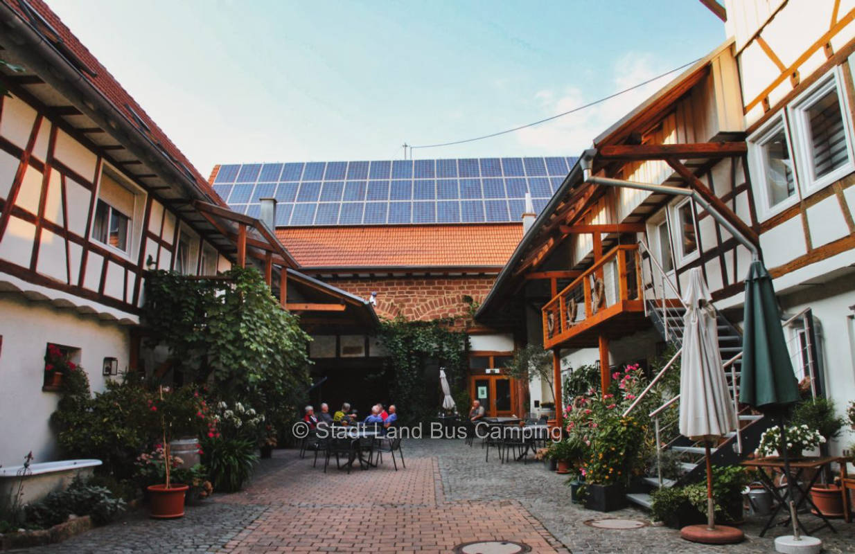 On the edge of the vineyards - winery vacation 2