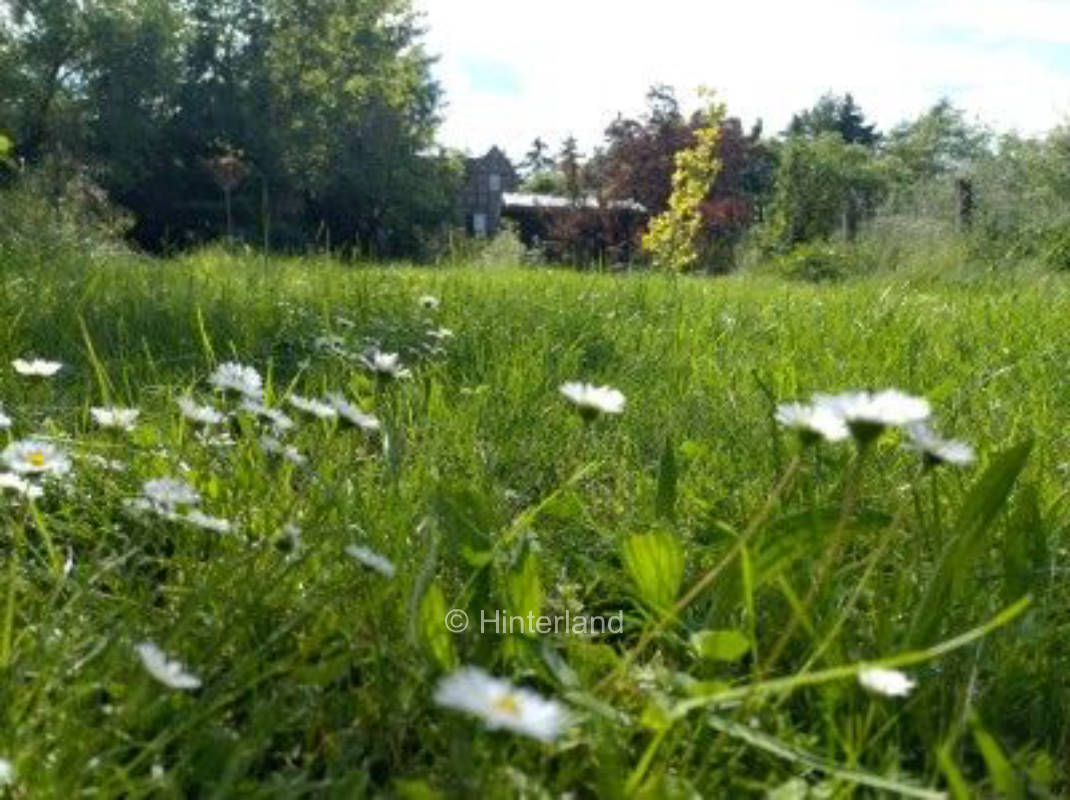 Abenteuer in der Saale-Unstrut Weinregion erleben